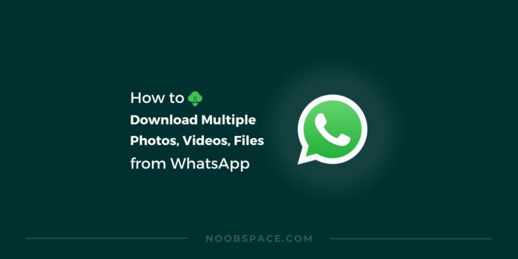 GB WhatsApp Official Plus

